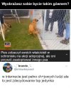 Bez komentarza...