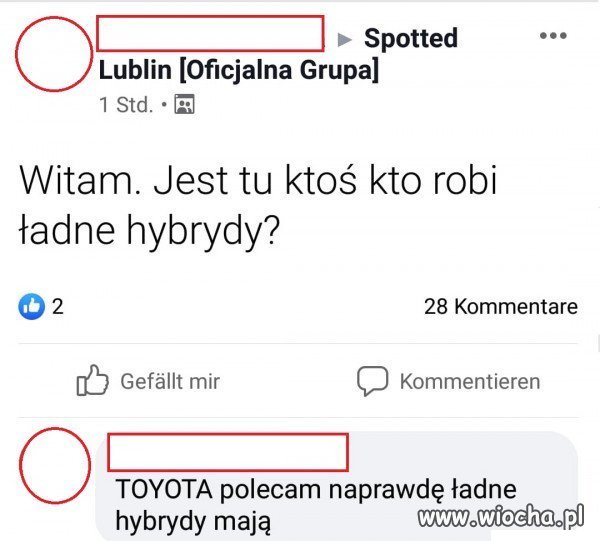 Madka i hybryda