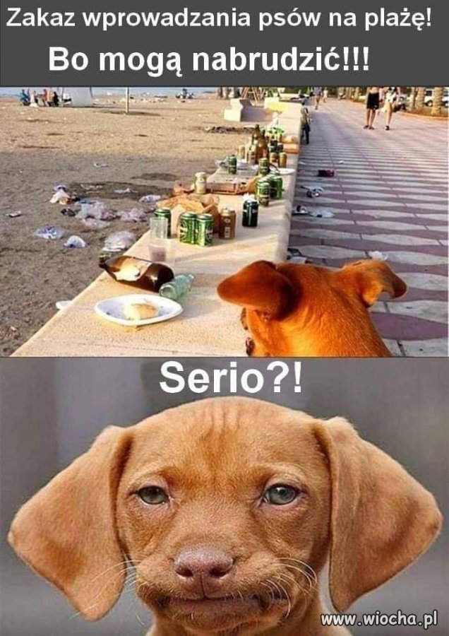 Bo to Polska