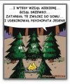 Świąteczne klimaty