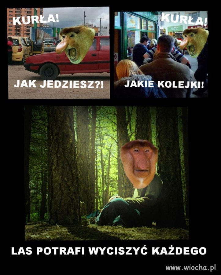 Polecam wszystkim