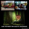 Polecam wszystkim