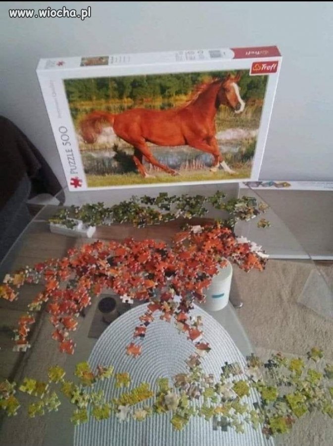 Tez lubicie układać puzzle? 