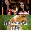 Odruch wymiotny