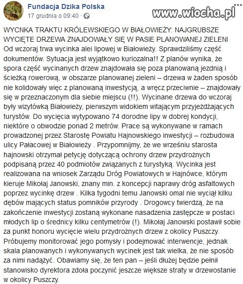 Białowieża: wycięto drzewa pod pas zieleni.