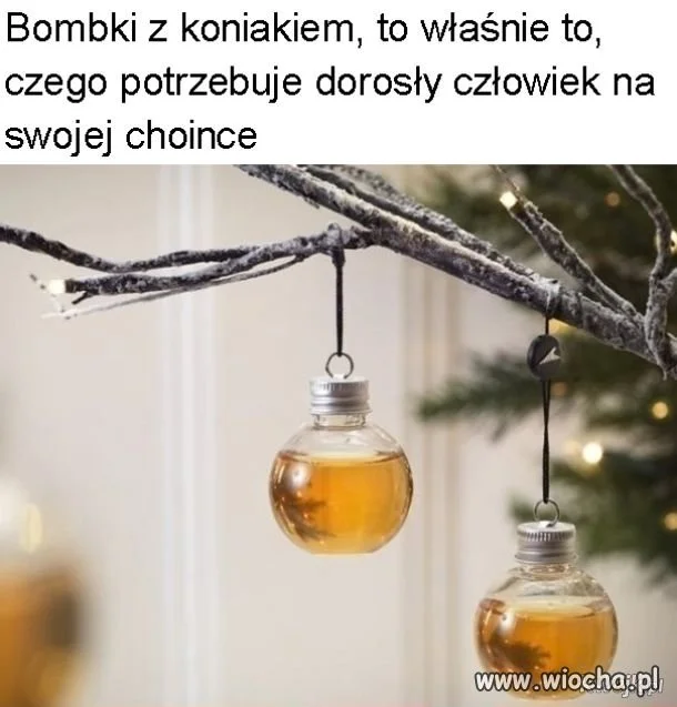 Gdzie dostanę?
