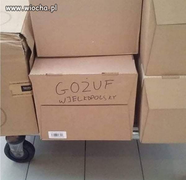 DHL 