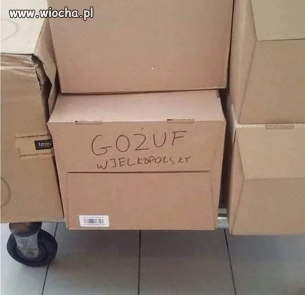 DHL 