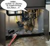 Problemy