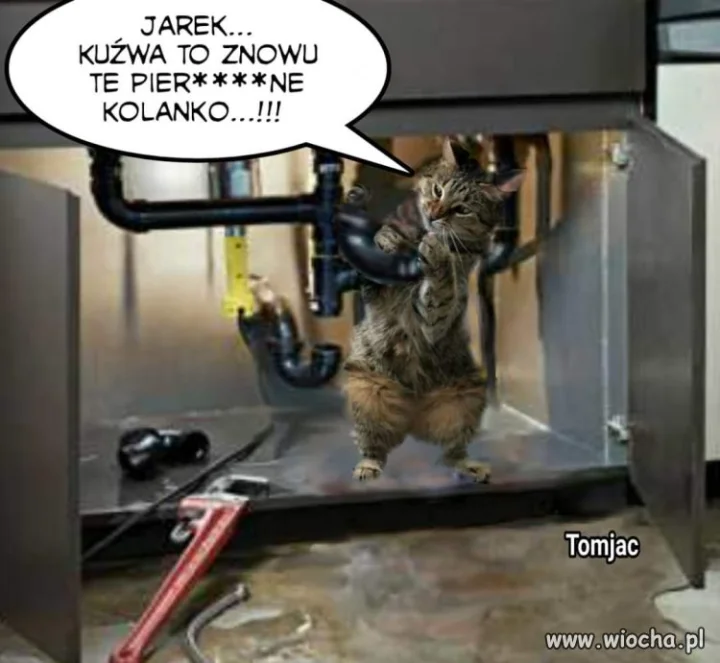 Problemy