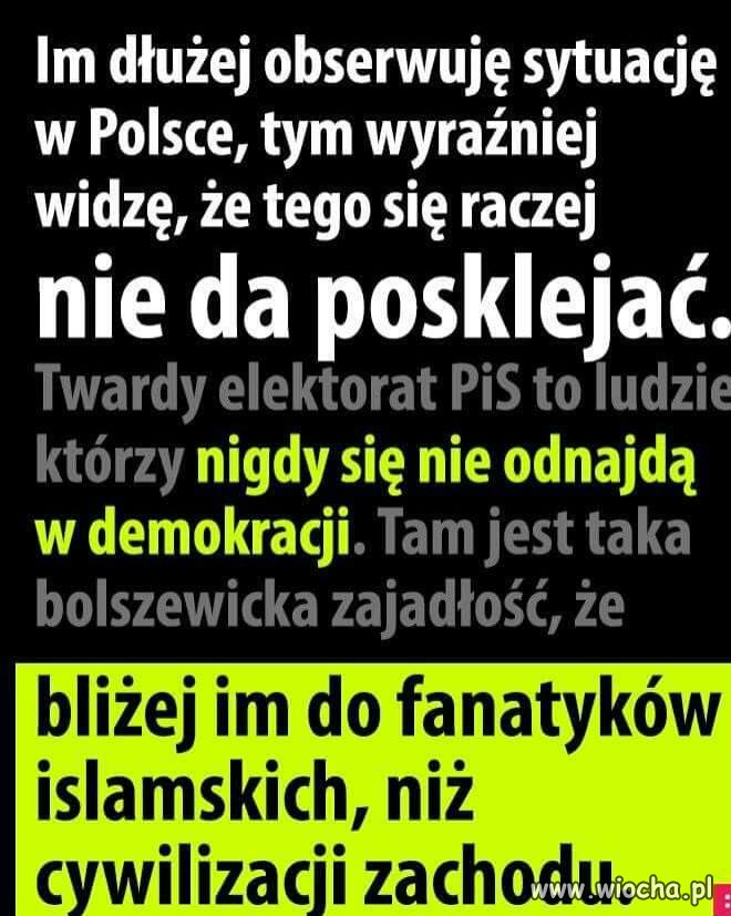Wystarczy poczytać komentarze