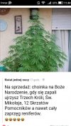 Świąteczna oferta