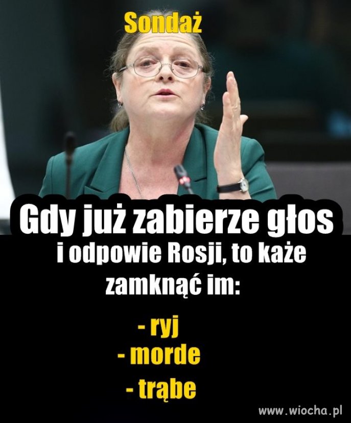 Taki sondaż ... Co wydali Krycha ? 