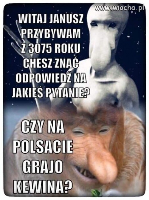 100 %