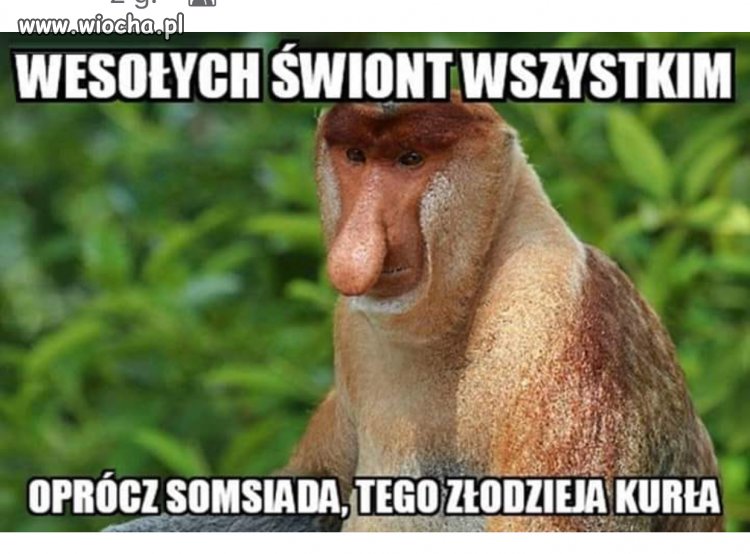 Najlepszego 
