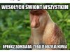 Najlepszego 