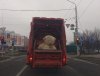Jak można wyrzucić takiego misia?