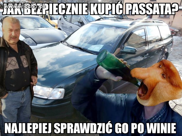 Jak bezpiecznie kupić Passata