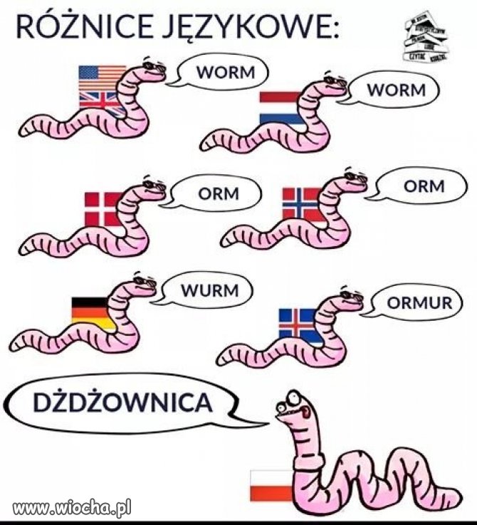 Różnice językowe.