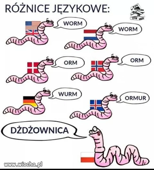 Różnice językowe.