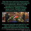 To jest dopiero