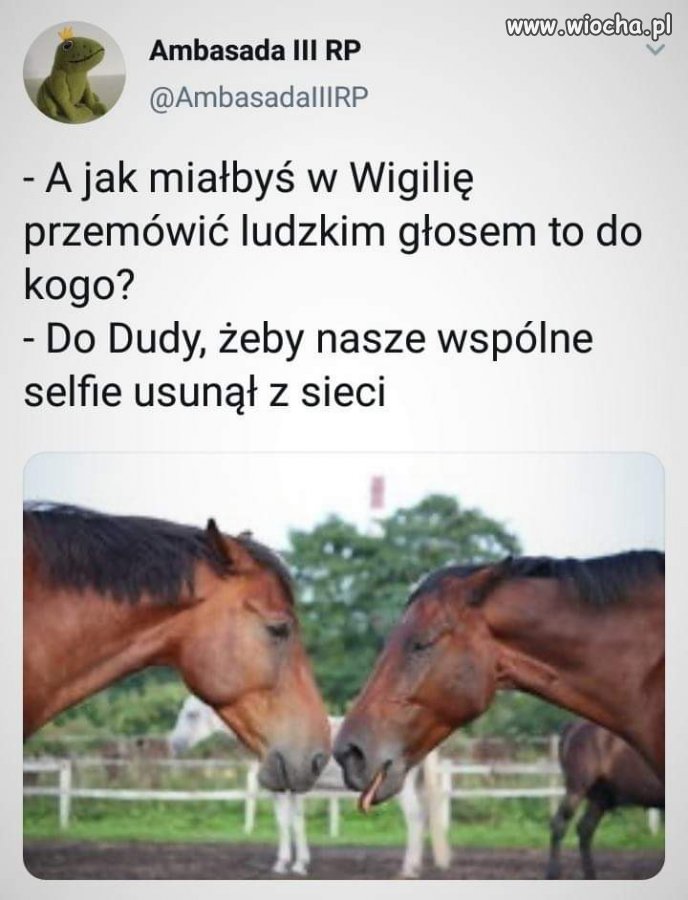 Idealna