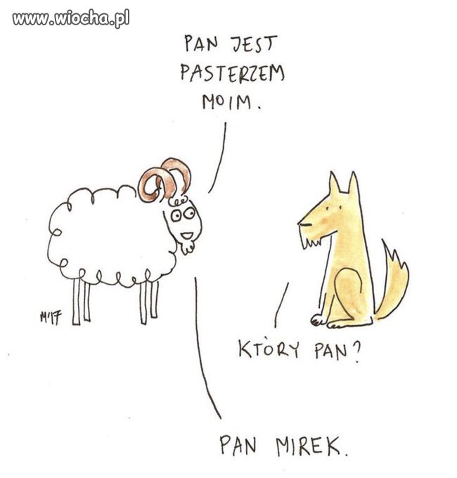 #MnieŚmieszy