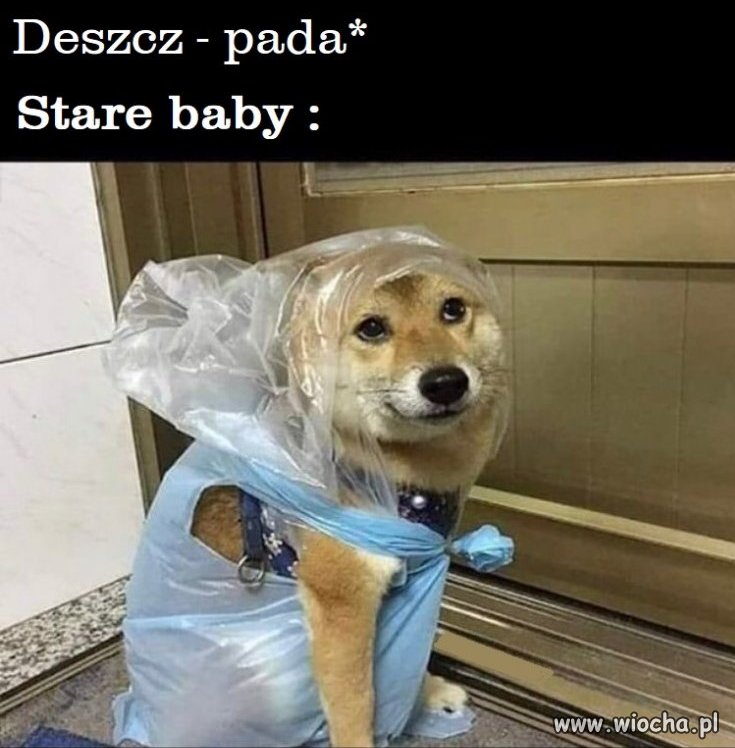  Bo pada ...