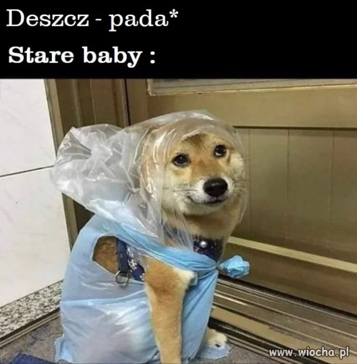  Bo pada ...