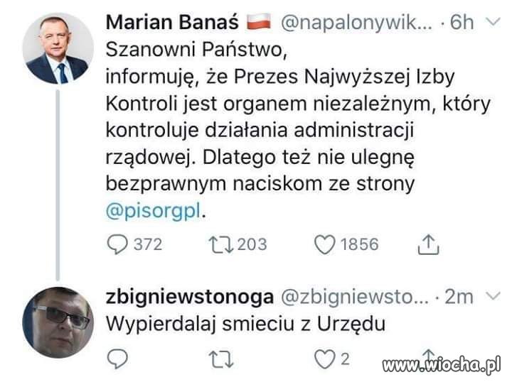 Stonoga