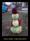 Trudno się nie zgodzić