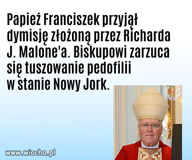 Ciekawe kiedy Papież zajmie się naszymi pedofilami ...