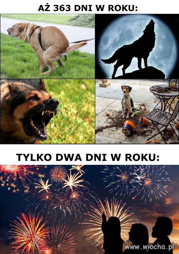 Piesełki.