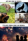 Piesełki.