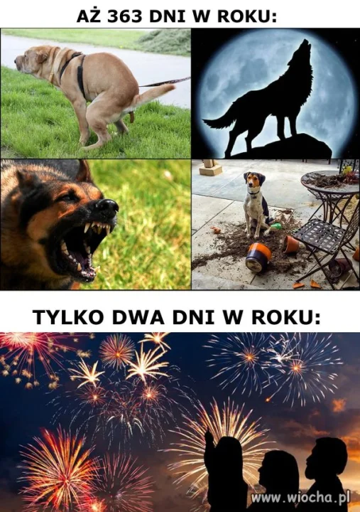 Piesełki.