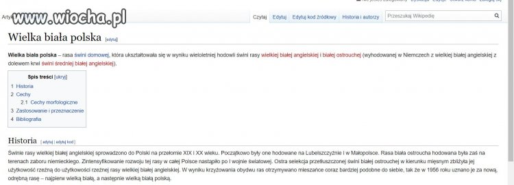 Wielka biała polska