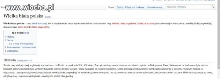 Wielka biała polska