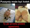 Kotek.