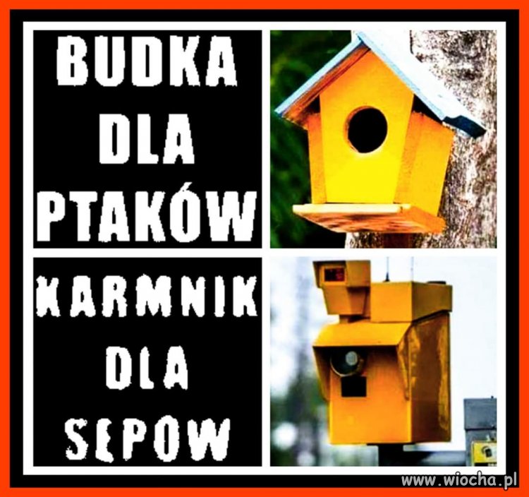 Taaaka