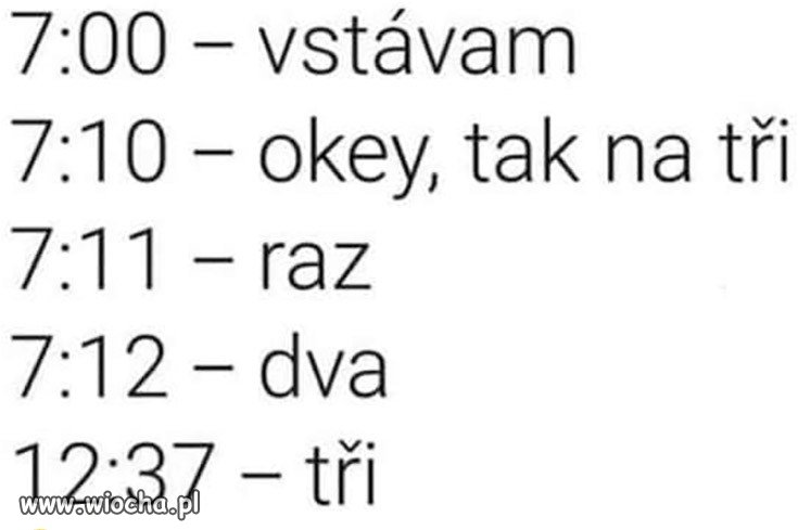 Pobudka zgodnie z planem