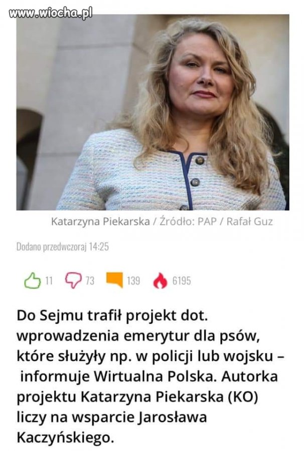 Głupich nie sieją