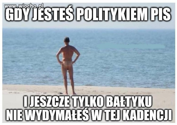 Pazerny pis