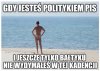 Pazerny pis
