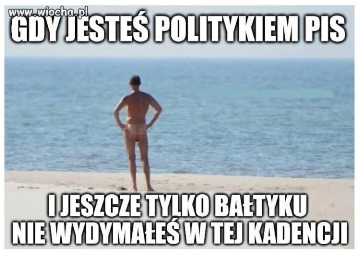 Pazerny pis