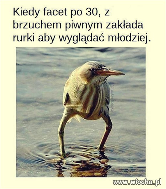 Tymczasem