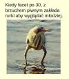 Tymczasem