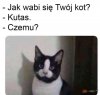 Poznasz go po znaku szególnym między oczami