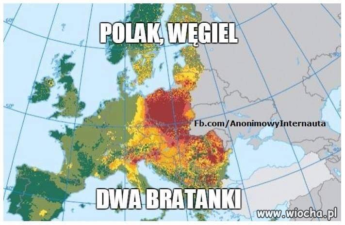 Polak
