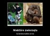 Ewolucja 