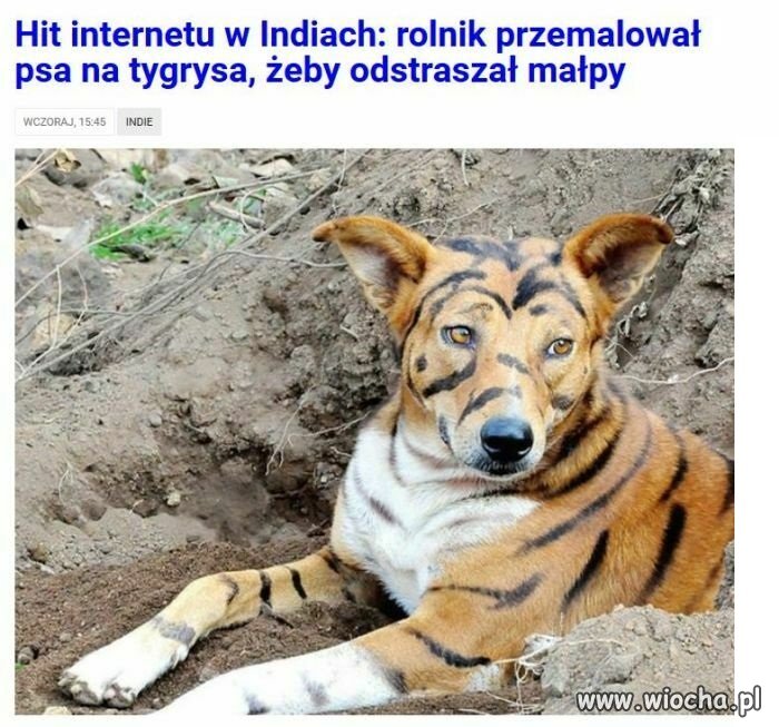 Ważne, że działa